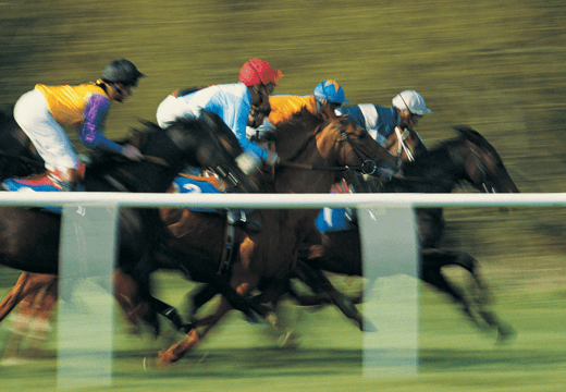 Getting Started with Horse Racing Betting