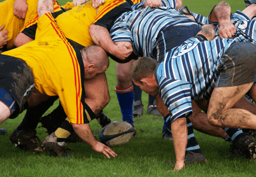 Getting Started with NRL Betting